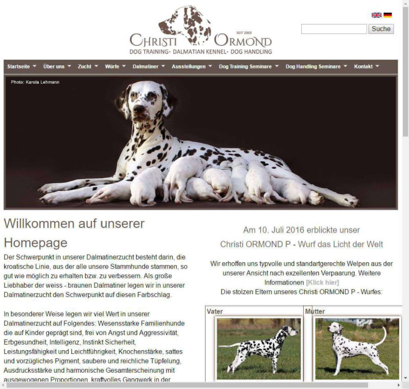 Responsive Website für Hunde und Hundetrainer
